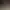 Eine Gewichtsplatte von Technogym liegt auf einer texturierten Trainingsmatte, umgeben von anderen Platten und einem Kraftgerät im Hintergrund.