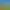 Eine Hand hält einen Topf mit süßem Alélor-Senf in einem Feld gelber Blumen unter einem blauen Himmel.