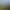 Ein mittelalterlicher Steinbau, umgeben von Bäumen und Vegetation, auf einem Hügel gelegen